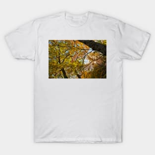 Colours of Autumn T-Shirt